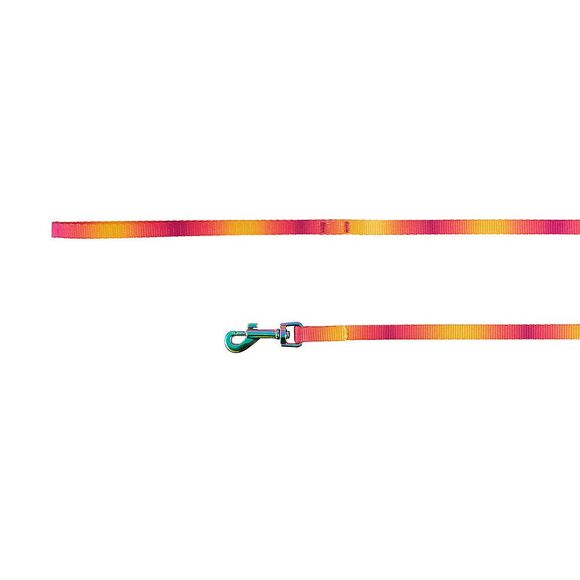 Whisker City‎ Cat Kitten Leash Pink Yellow Orange Ombre 6 FT - Picture 1 of 3